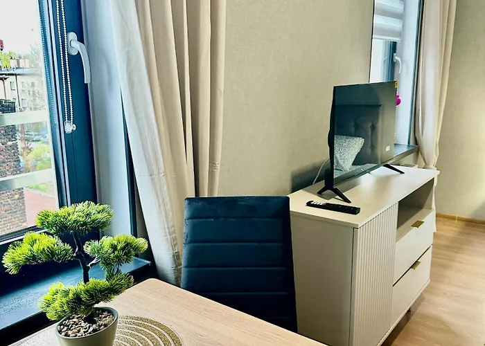 Poziom 4 - Prywatny Prysznic, Wspolne Wc * Katowice