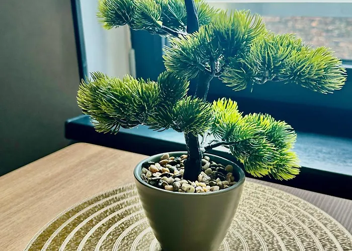 Poziom 4 - Prywatny Prysznic, Wspolne Wc Appartamento