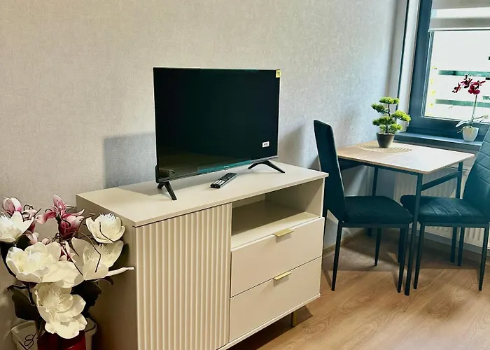 Appartamento Poziom 4 - Prywatny Prysznic, Wspolne Wc Katowice