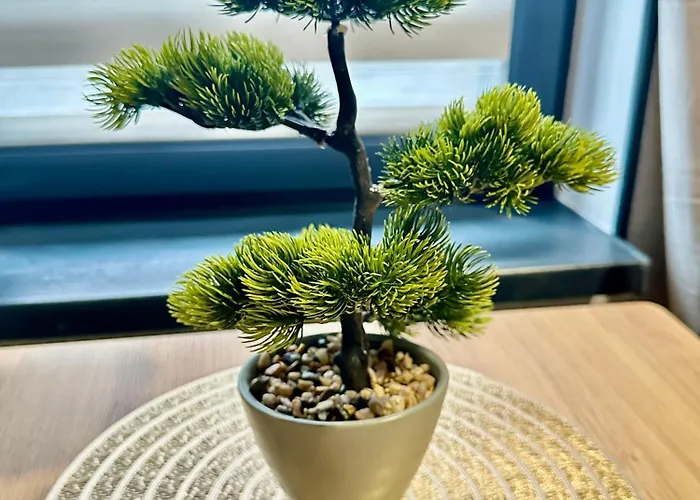 Poziom 4 - Prywatny Prysznic, Wspolne Wc * Katowice